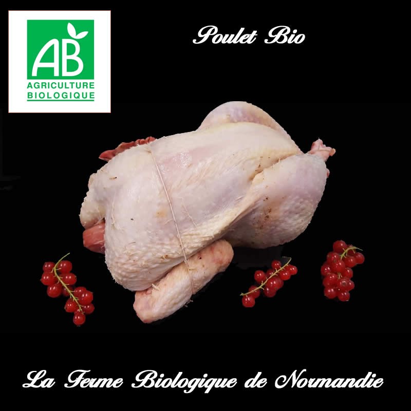 Poulet fermier bio entier en direct du producteur