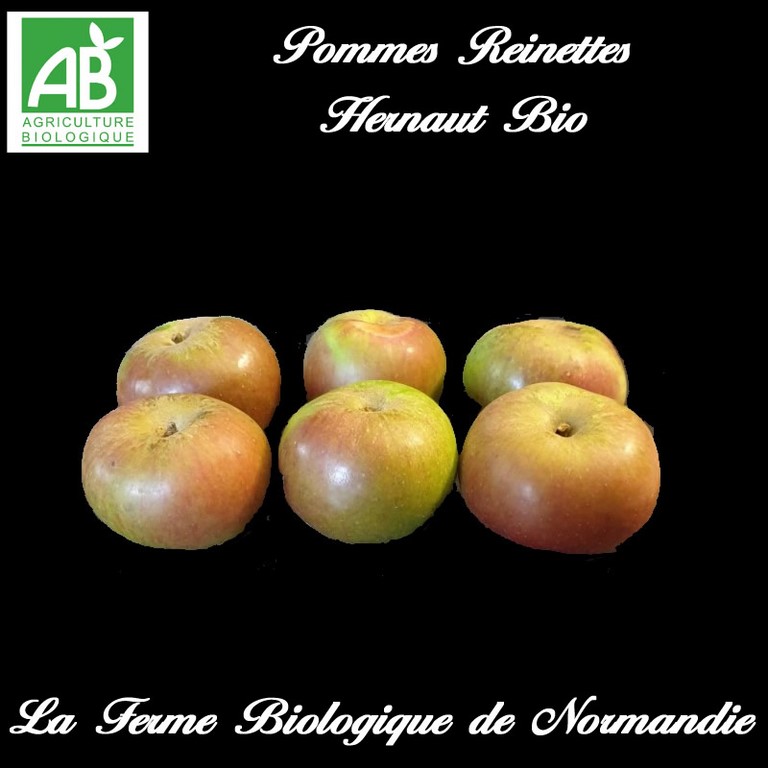 Pommes Reinette Hernaut bio