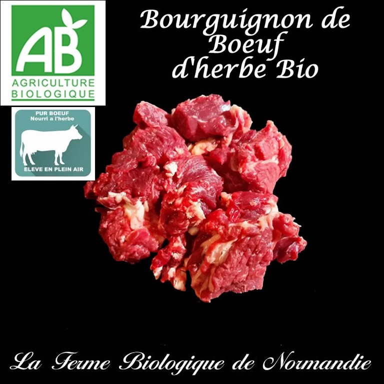 Boeuf Bourguignon bio  race limousine