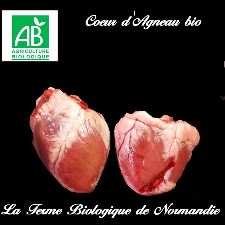 coeur agneau bio