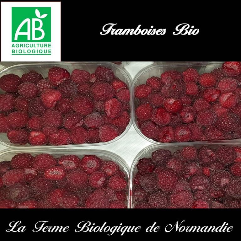 framboises bio