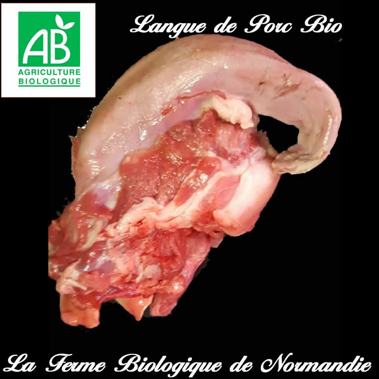 langue de porc bio