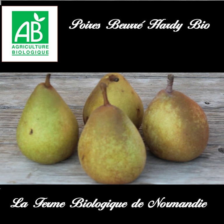 Poires bio beurre Hardy