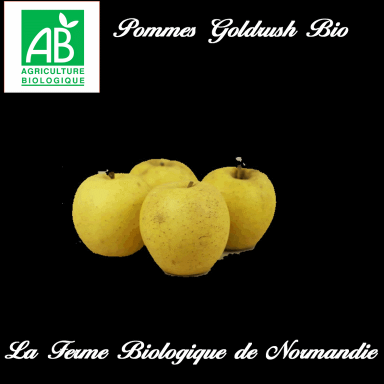 Pommes goldrush bio