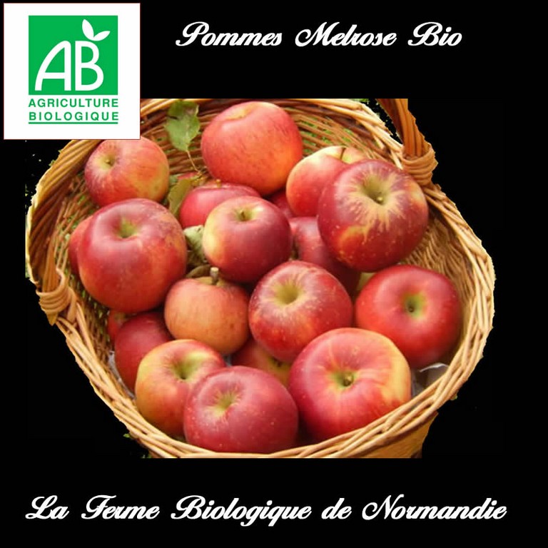 Pommes Melrose bio