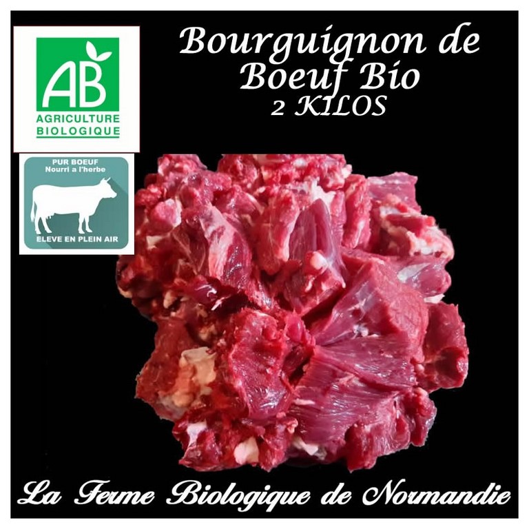 Boeuf Bourguignon bio  race limousine