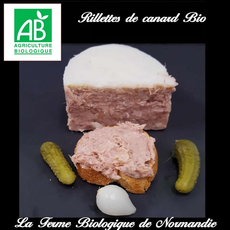 Rillettes de canard bio 200g