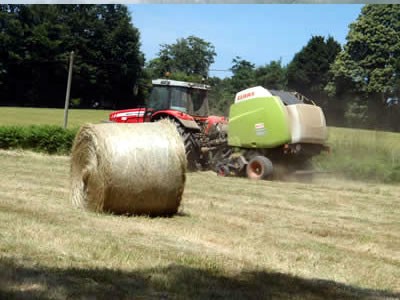 Viande bio en direct du producteur