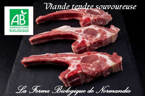 viande bio de qualité supérieure