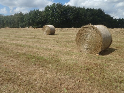 prairie bio normandie