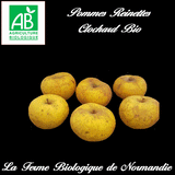 Pommes reinette clochard bio