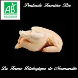 Poularde fermière bio